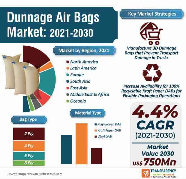 dunnage air bags market infographic