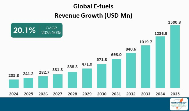 E Fuels Market By Revenue
