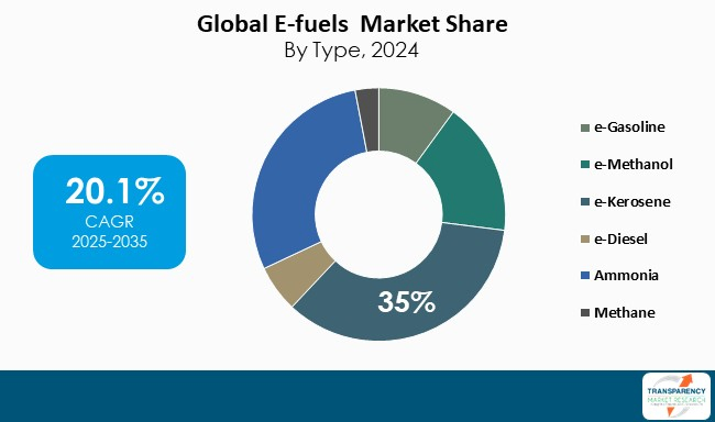 E Fuels Market By Type
