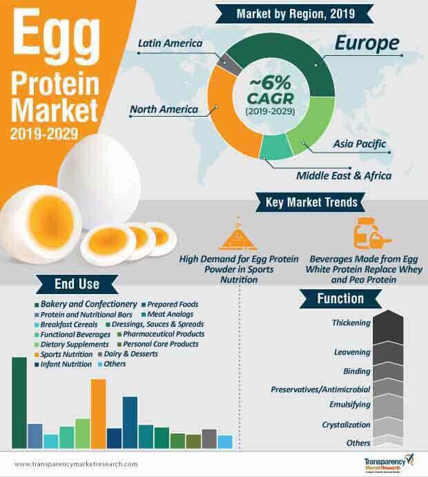 egg protein market infographic