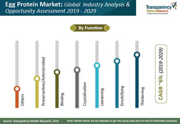 egg protein market share