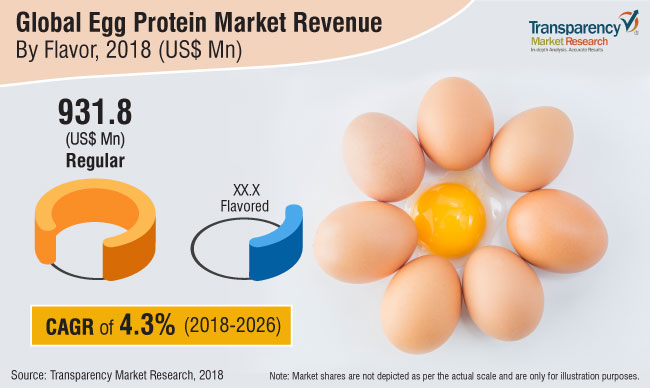 Egg Protein Market egg protein market