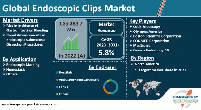 Endoscopic clip closure techniques used in the present study. a