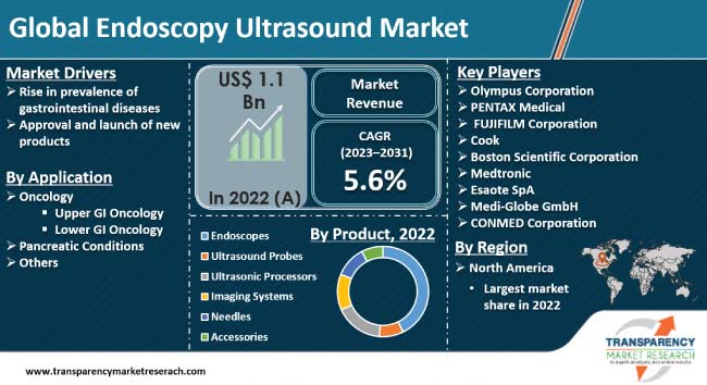 Endoscopy Ultrasound Market