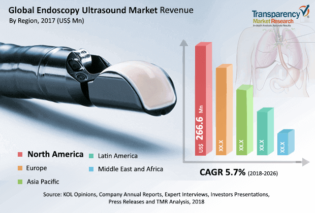 endoscopy ultrasound market