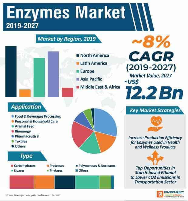 enzymes market infographic