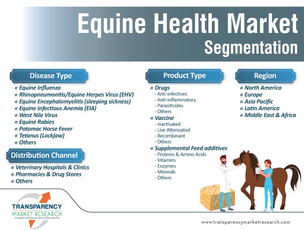 equine health market segmentation