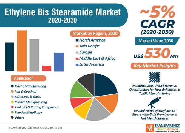 ethylene bis stearamide market infographic