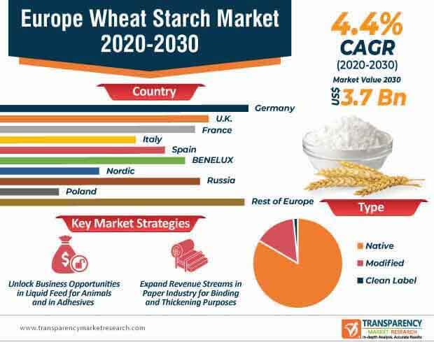 europe wheat starch market infographic