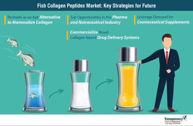 fish collagen peptides market strategy