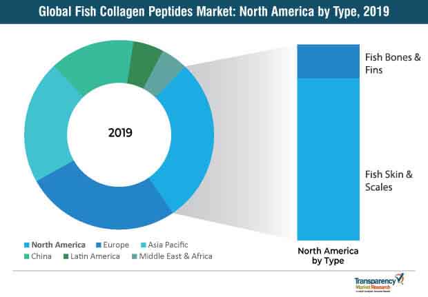 fish collagen peptides market