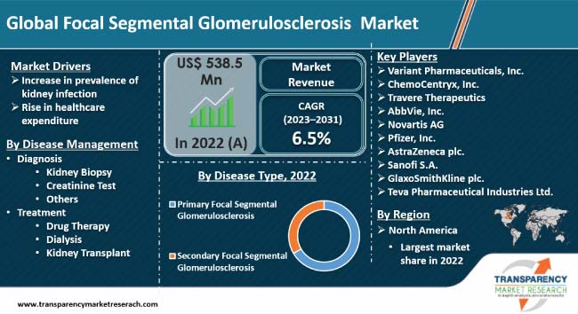 Focal Segmental Glomerulosclerosis Market focal segmental glomerulosclerosis market