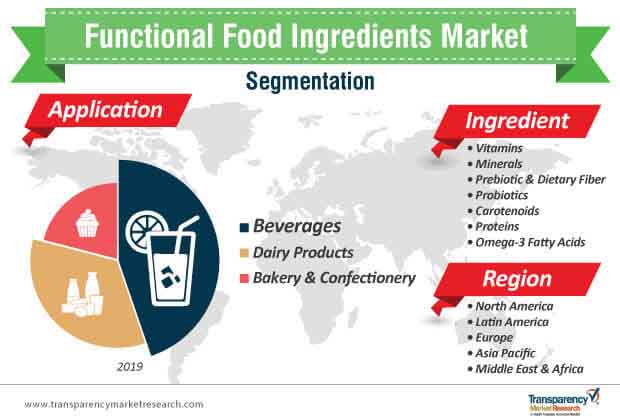 Functional Food Ingredients Market Segmentation functional food ingredients market segmentation