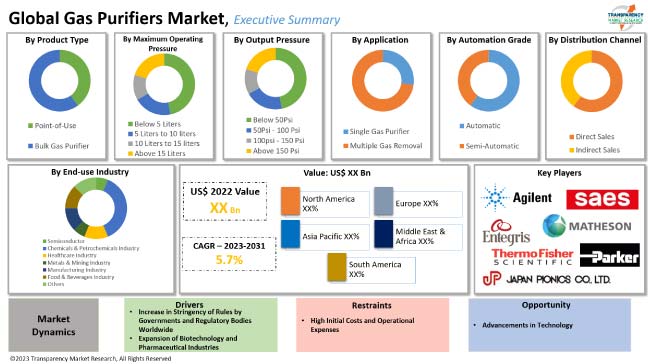 Gas Purifiers Market