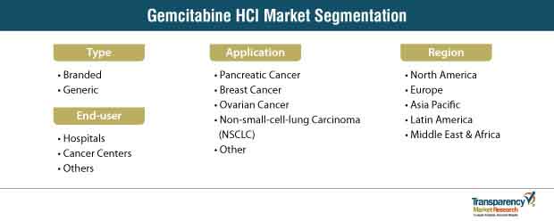 Gemcitabine Hci Market Segmentation gemcitabine hci market segmentation