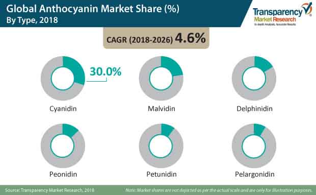 global anthocyanin market