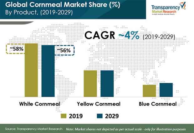 Global Cornmeal Market Share By Product global cornmeal market share by product