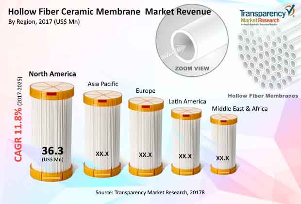 global hollow fiber ceramic membrane market