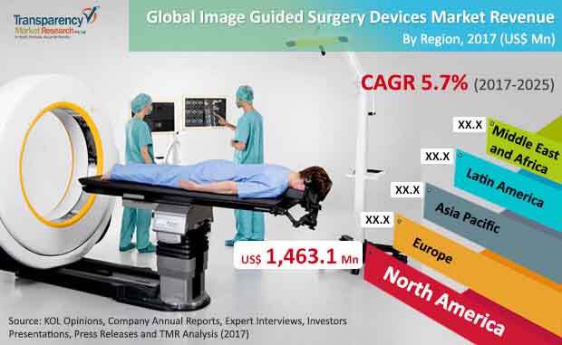 global image guided surgery devices market