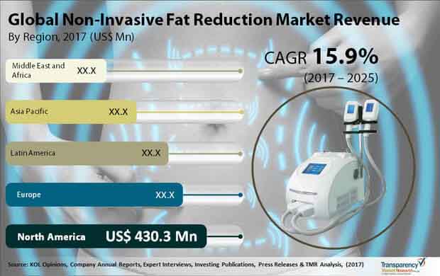 global non invasive fat reduction market