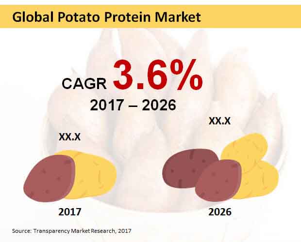 global potato protein market