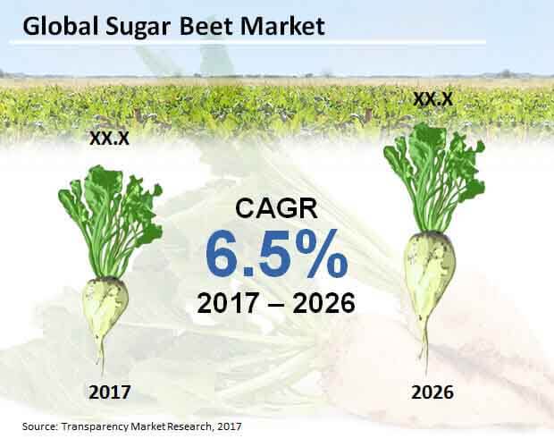 global sugar beet market