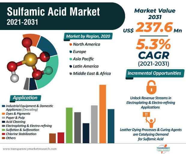 global sulfamic acid market infographic