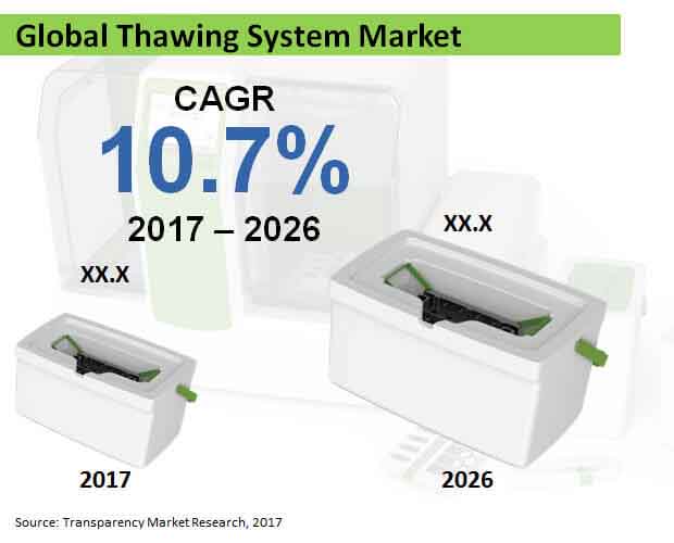 global thawing system market