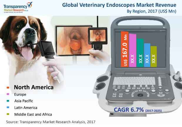 global veterinary endoscopes market