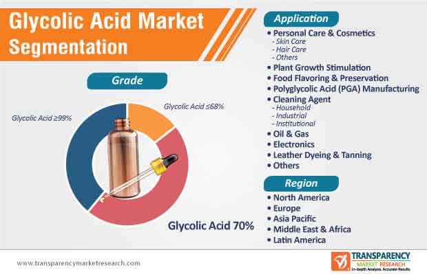 Glycolic Acid Market Segmentation glycolic acid market segmentation