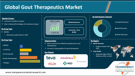 Gout Therapeutics Market Insight and Trends 2031