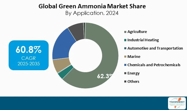 Green Ammonia Market By Application