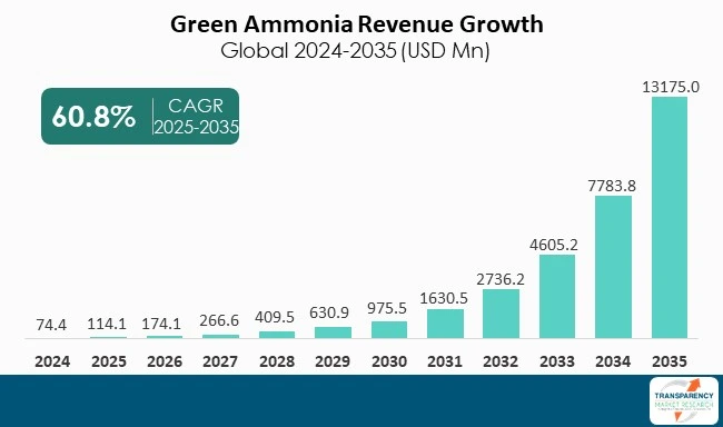 Green Ammonia Market By Revenue