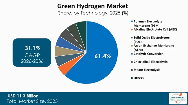 Green Hydrogen Market By Type Green Hydrogen Market By Type