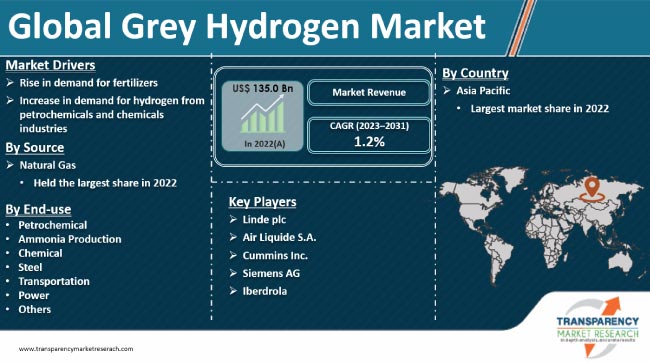 Grey Hydrogen Market
