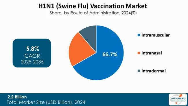 H1n1 (swine Flu) Vaccination Market By Route