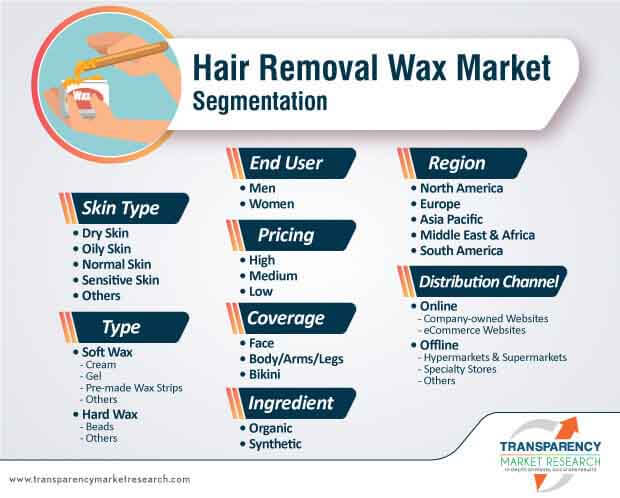 hair removal wax market segmentation