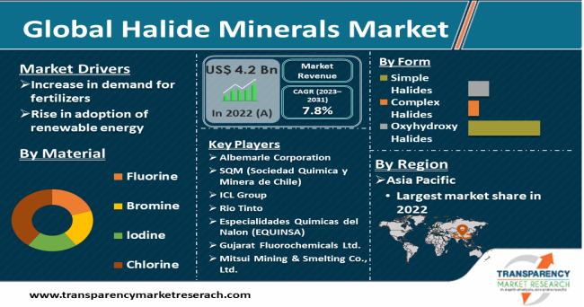 Halide Minerals Market