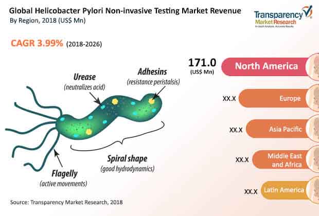 helicobacter pylori non invasive testing market