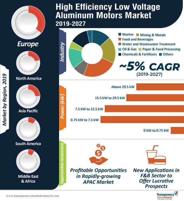 high efficiency low voltage aluminum motors market infographic