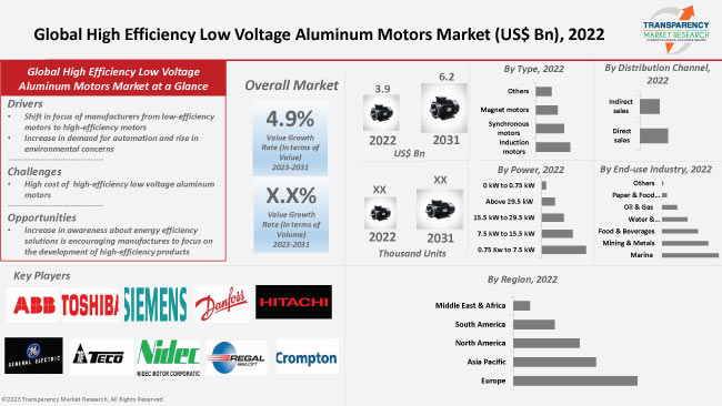 High Efficiency Low Voltage Aluminum Motors Market