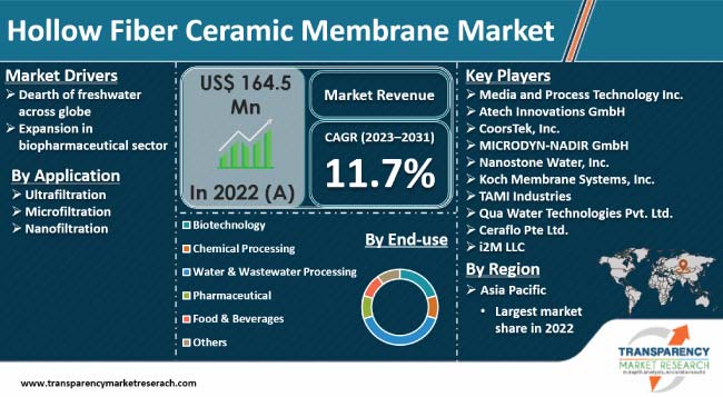 Hollow Fiber Ceramic Membrane Market