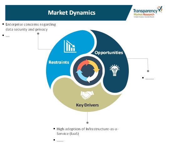 hosting infrastructure services market 1