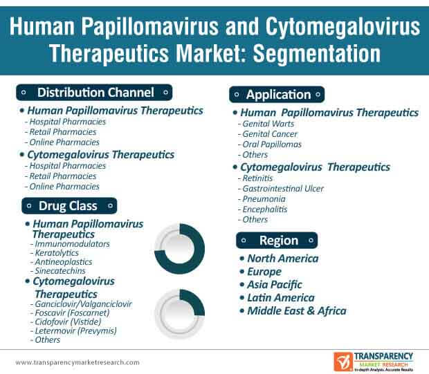 human papillomavirus cytomegalovirus therapeutics market segmentation