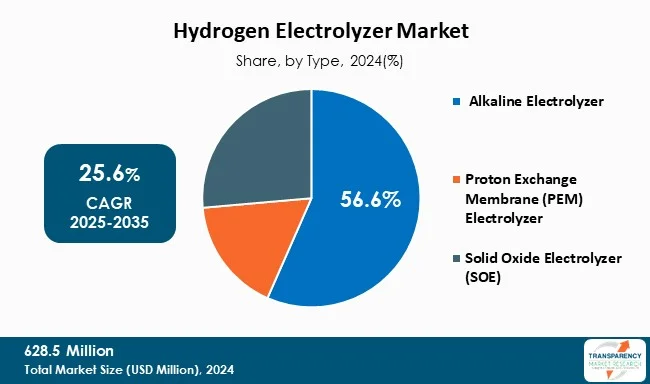 Hydrogen Electrolyzers Market By Type