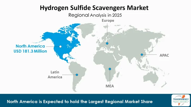 Hydrogen Sulfide Scavengers Market By Region