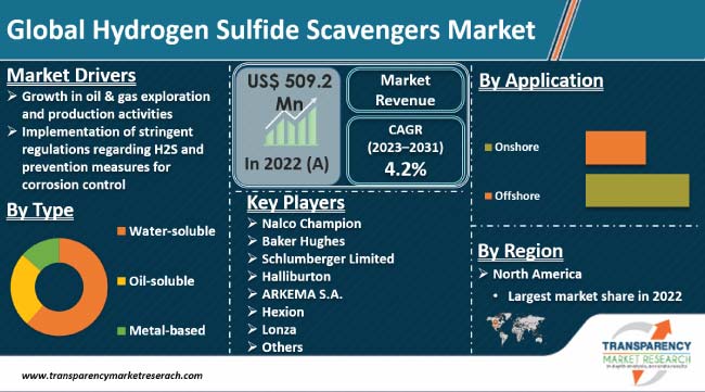 Hydrogen Sulfide Scavengers Market