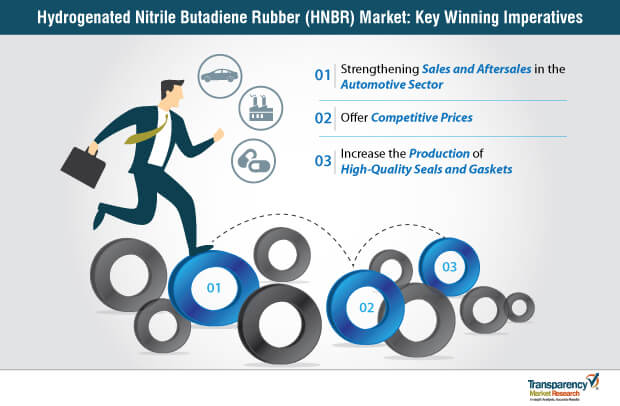 Hydrogenated Nitrile Butadiene Rubber Market Key Winning Imperatives