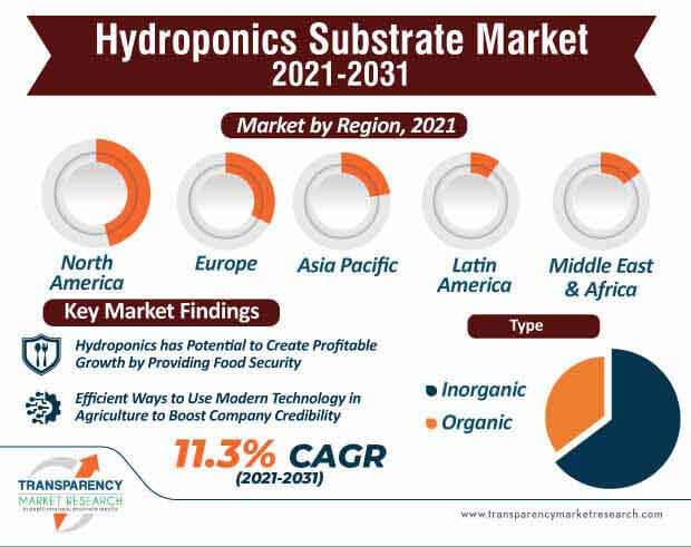 hydroponics substrate market infographic