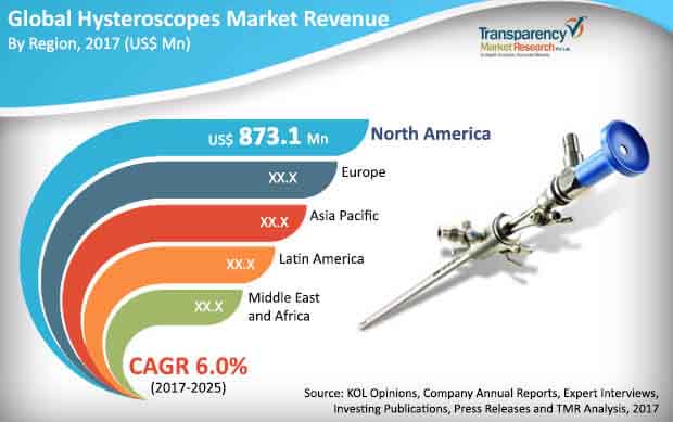 hysteroscopes market